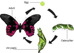 <p>after, beyond, change</p>