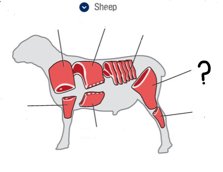 <p>What is this cut of meat?</p>