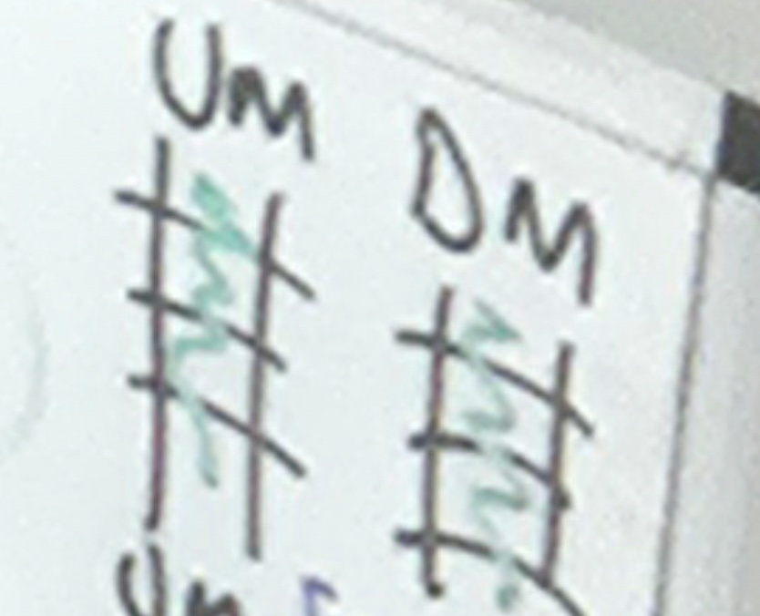<p class="has-focus">Safe Systems of Work</p><p>What does Safeguarded mean? And what speed does the train move?</p>