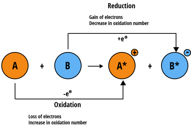 <p>Oxidation:</p><ul><li><p>Loss of electrons and hydrogen (O<sub>xidation</sub> I<sub>s</sub> L<sub>oss</sub>)</p></li><li><p>Gain of Oxygen</p></li></ul><p>Reduction:</p><ul><li><p>Gain of electrons and hydrogen (R<sub>eduction</sub> I<sub>s</sub> G<sub>ain</sub>)</p></li><li><p>Loss of Oxygen</p></li></ul><p></p>