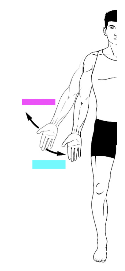 <p>What is the pink?</p>