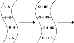<p>Shape remodeling and then chemical oxidation</p>