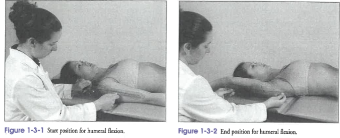 <p>Shoulder: Humeral Flexion</p>