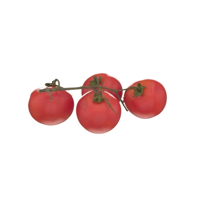 <p>Strauchtomaten (lose)</p>
