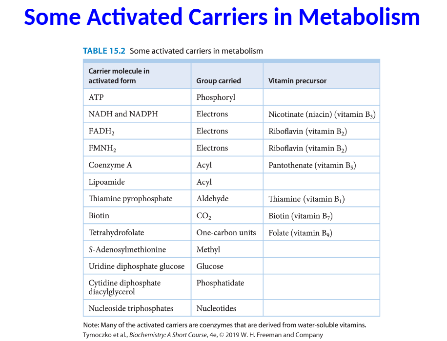 <p>Coenzyme A (CoA or CoA-SH) is an activated carrier of</p><p>acyl groups such as the acetyl group.</p><p>• The transfer of the acyl group is exergonic because the</p><p>thioester is unstable</p>