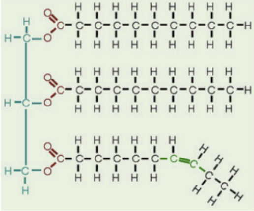 <p>Identify which organic compound it is found in</p>