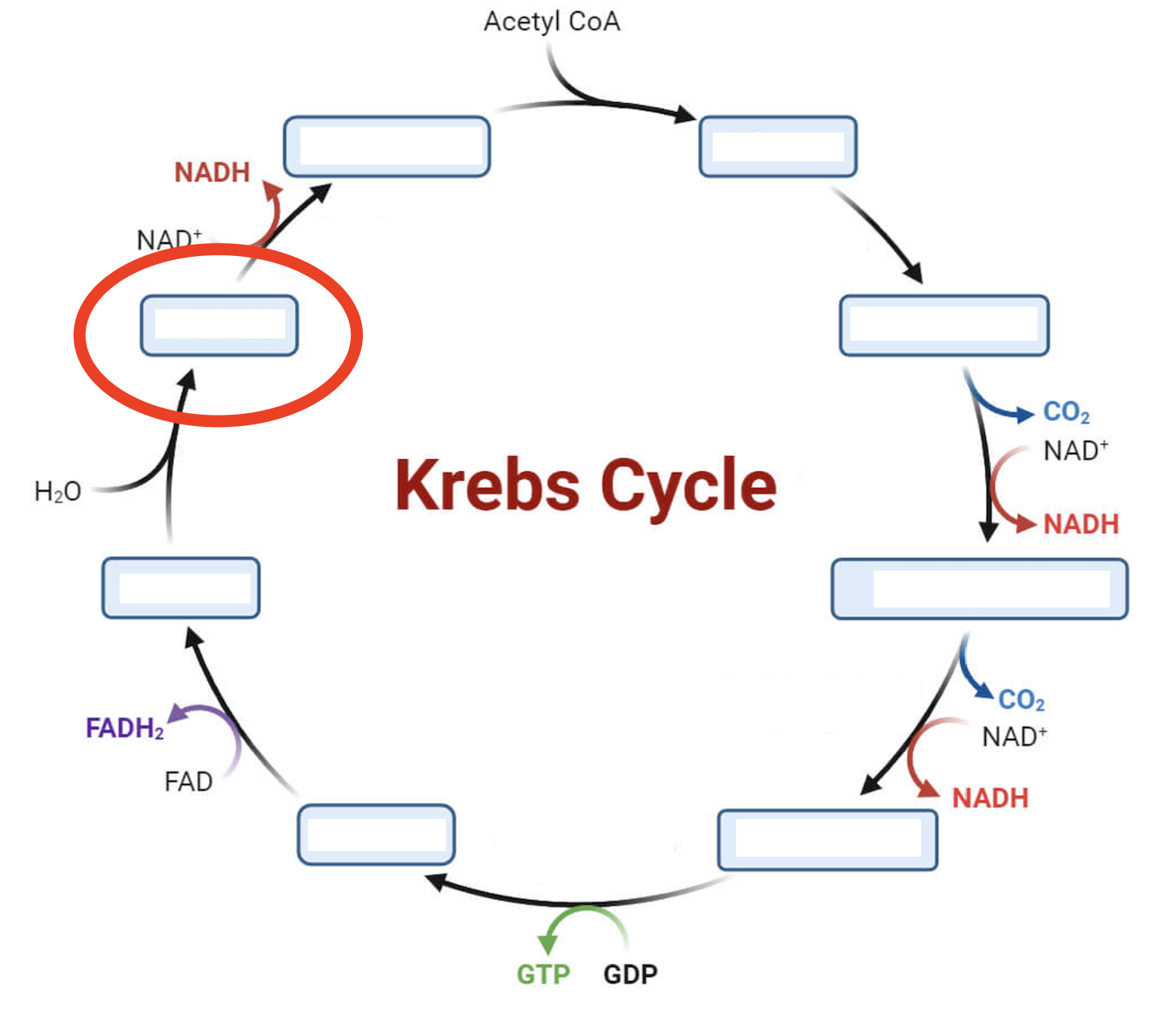 <p>Intermediate 7 </p>