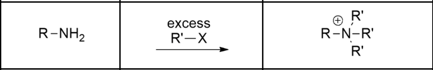 <p>Ammonia with an excess of an alkyl halide. </p><p>Rather than having the alkyl halides react with ammonia like when we try to synth a 1º amine via alkylation, we WANT polyalkylation to occur, meaning we add an excess of alkyl halide compared to our ammonia. </p>