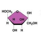 <p>What carbohydrate is this?</p>