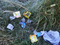<p>n. rác vứt bừa bãi</p><p>v. vứt rác</p><p>Drop litter / No littering</p><p>______ in public areas is harmful to the environment.</p>