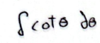 term image