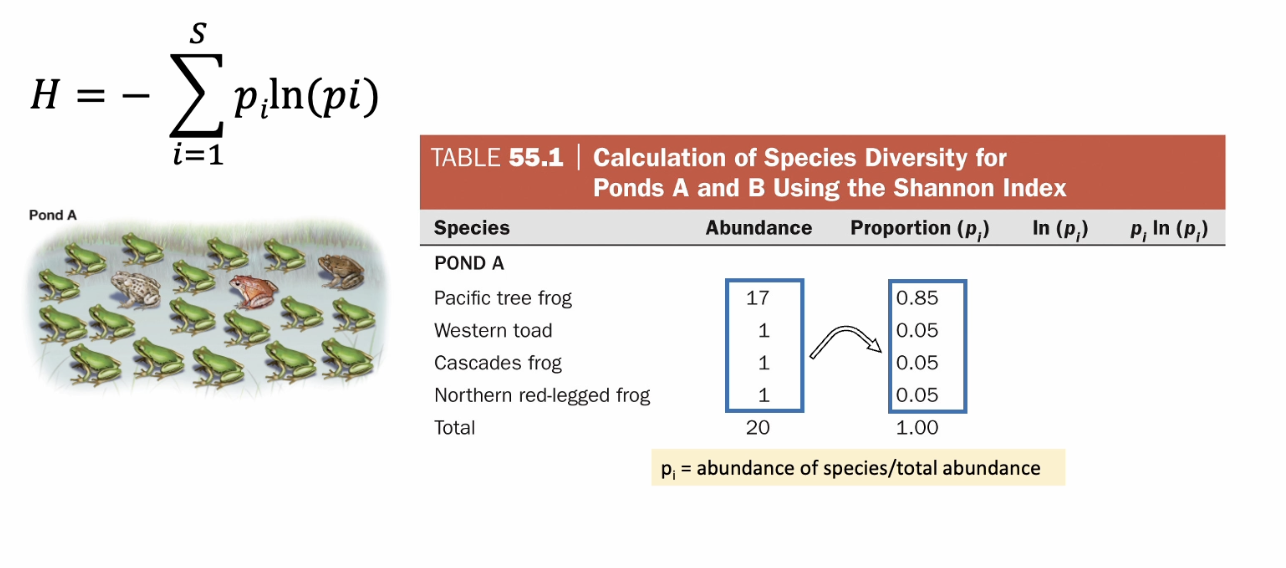 <p>Mock shannon index question. </p>