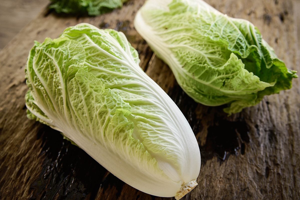<p>Chinese Cabbage</p>