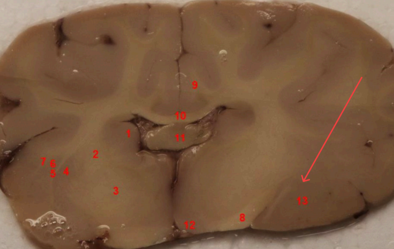 <p>what area is this </p>