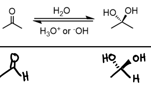 <p>ketone -> geminal diol</p>