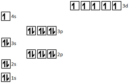 <p>1s<sup>2</sup> 2s<sup>2</sup> 2p<sup>6</sup> 3s<sup>2</sup> 3p<sup>6</sup> 4s<sup>1</sup> 3d<sup>5</sup> </p><p>stability for having a half filled 3d orbital</p>