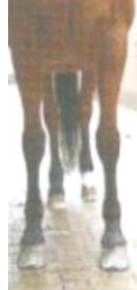 <p>afwijking</p>
