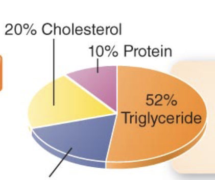<p>Transports endogenous lipids, especially triglycerides to various tissues of the body. </p>