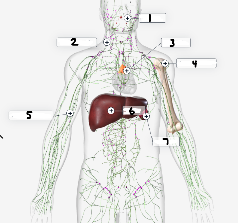 <p>Label the diagram</p>