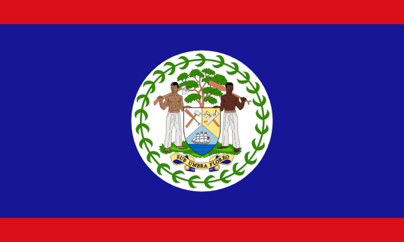 <p> </p>