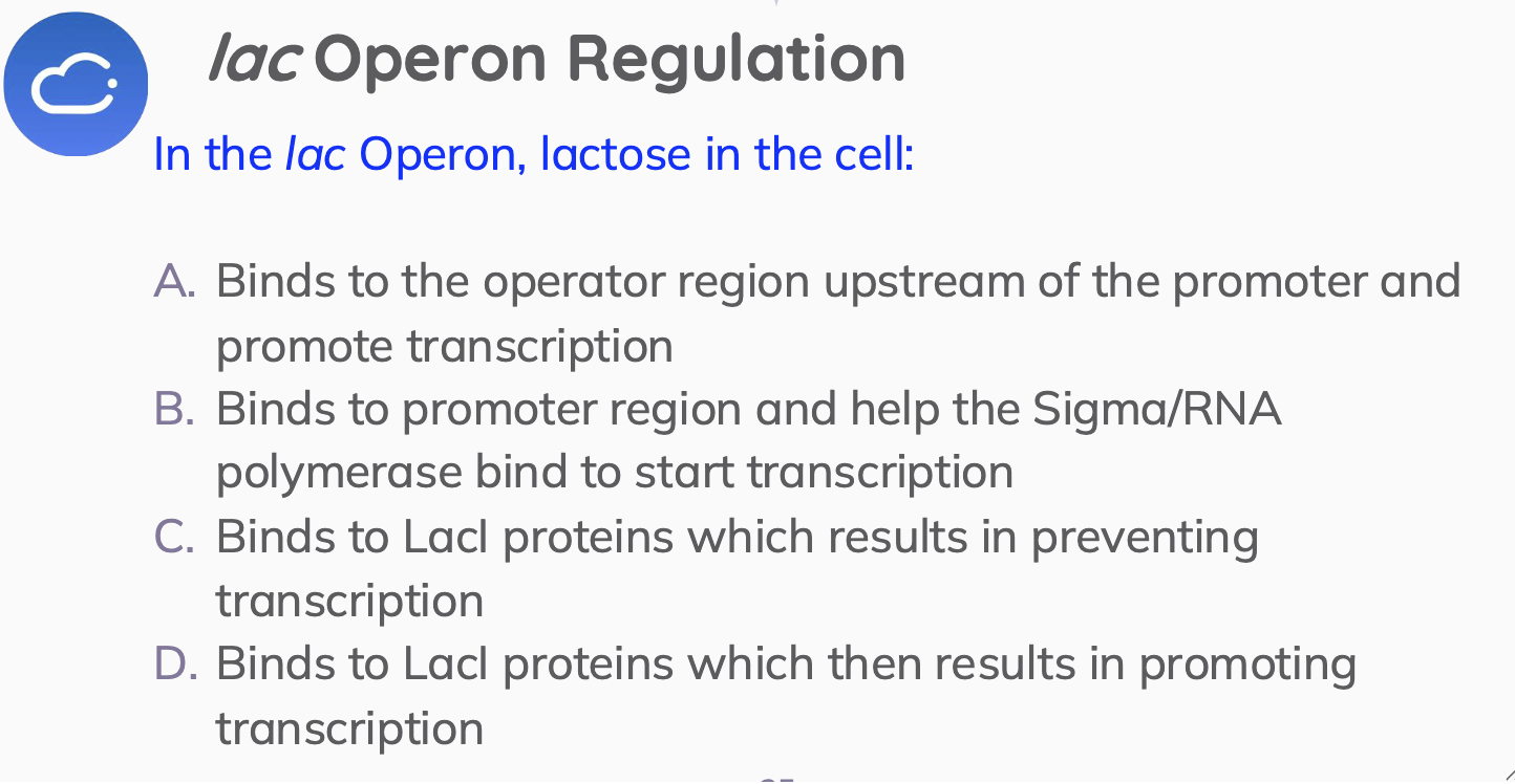 <p><span style="color: rgb(111, 218, 223);"><strong>lac</strong></span><strong> Operon Regulation</strong></p>