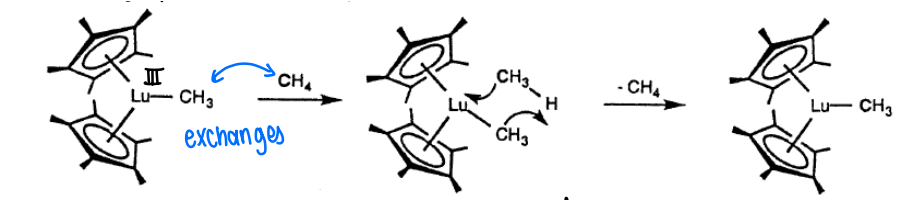 <p>Although we expect lanthanides to form larger ionic bonds with ligands, organometallic complexes with covalent bonds can be formed.</p><ul><li><p>This forms a lanthanide complex with a +2 O.S.</p></li></ul><p></p>