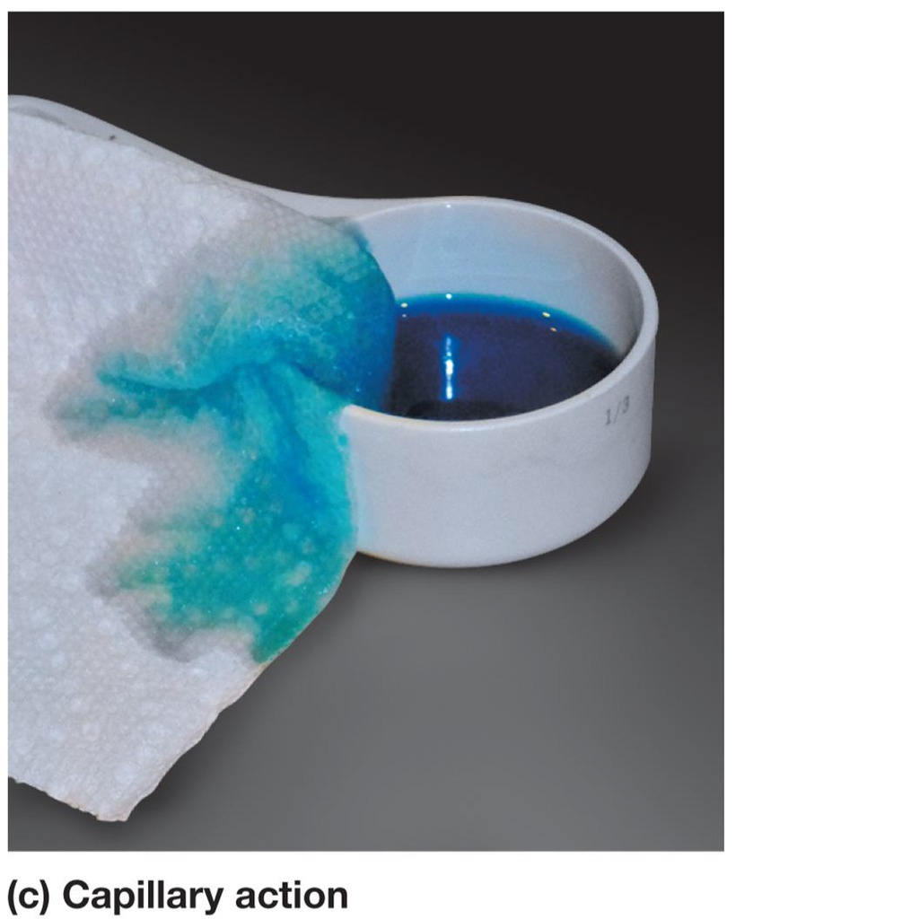 <p>The movement of water within the spaces of a porous material due to the forces of adhesion, cohesion, and surface tension.</p>