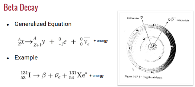<p>Too Many Neutrons in the nucleus so it turns a neutron into a proton.</p><p>neutron → proton + electron + antineutrino</p><p>The electron that is produced is the <strong>beta particle</strong>.</p><p>Element change occurs due to transmutation</p><p>Atomic number <strong><u>Increases </u></strong>by <strong>1</strong>.</p>