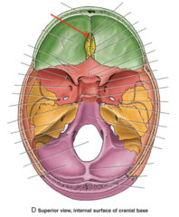 <p>What is the red arrow pointing to?</p>