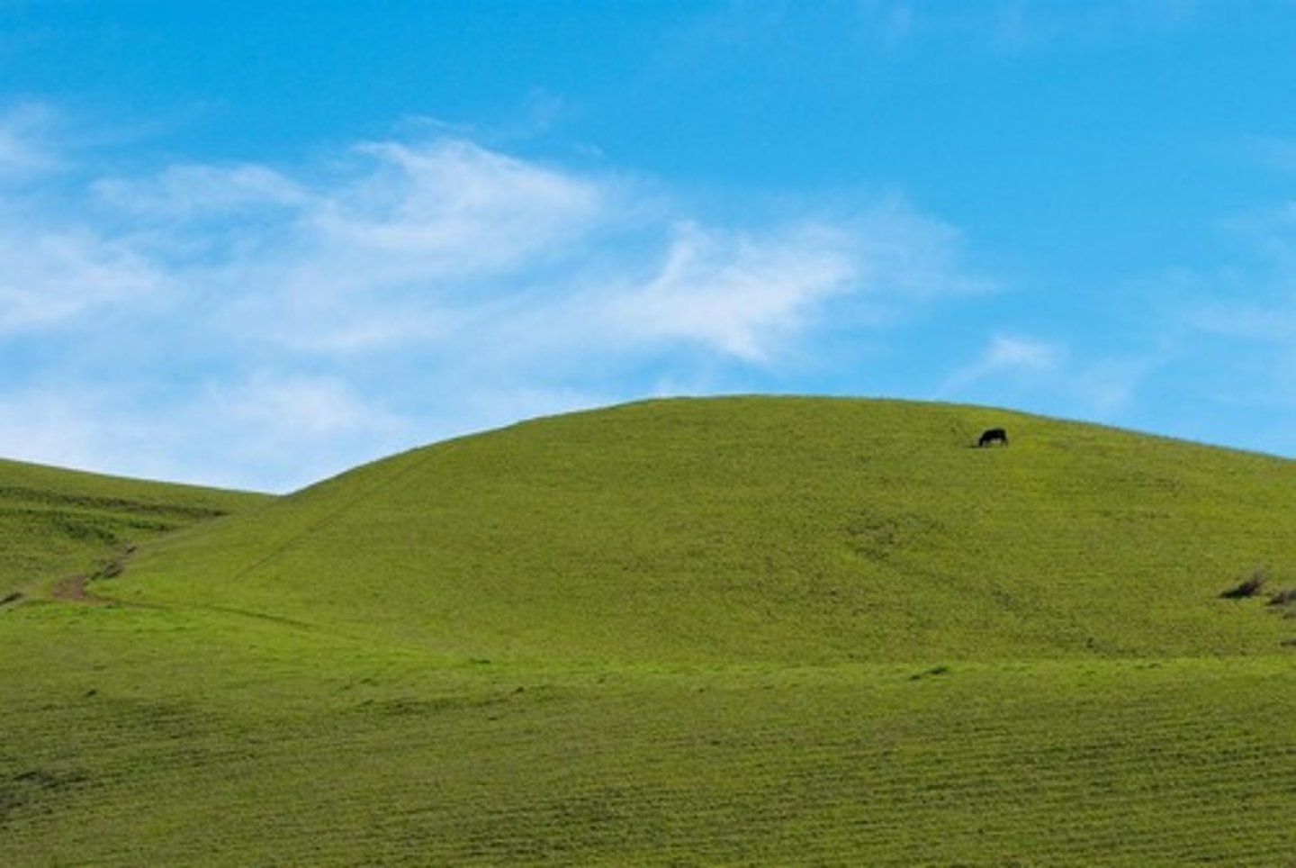 <p>an area of land higher than the land around it.</p>