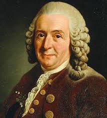 <p>created system by which we classify plants and animals (called the Linnaeus Taxonomy); helped us organize and therefore study larger amounts of data</p>