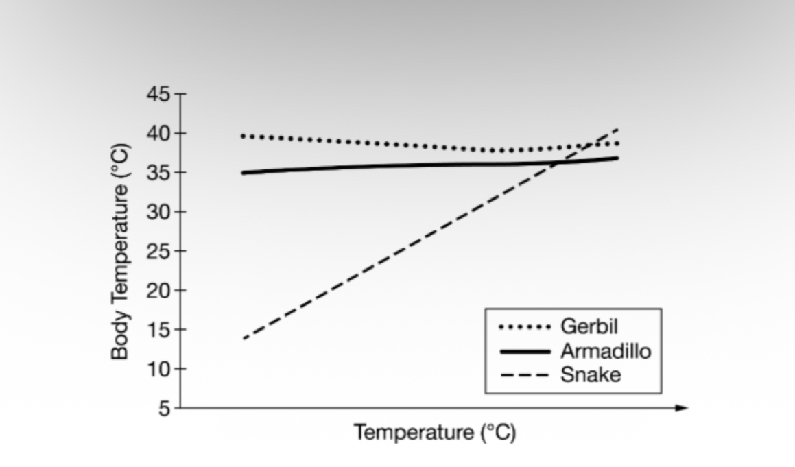 <p><span><span>In an experiment, three different animals were exposed to a series of environmental temperatures and their body temperatures were assessed at multiple temperature points etween 10 and 40 degrees Celsius. Ten different individuals of each type of animal were included in the study to produce an average body temperature profile for each type of animal. Figure 1 shows the data collected.</span></span></p><p><span><span>Figure 1. Effect of environmental temperature on body temperature of selected animals</span></span></p><p><span><span>Which of the following statements is most consistent with the data in Figure 1 ?</span></span></p>