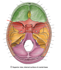 <p>What is the red arrow pointing to?</p>