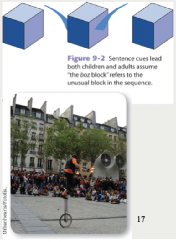 <ul><li><p>Children hear unfamiliar words embedded in sentences with words they already know, allowing for a process of elimination</p></li></ul><p></p><p></p><ul><li><p>Using familiar language cues</p><ul><li><p>ex. a suffix such as -ing cues that the new word refers to an action such as “the man is juggling”</p></li><li><p>For example, when a parent describes the event in the photo using familiar words but an unfamiliar verb, children often infer that the verb refers to the action performed by the subject of the sentence</p></li><li><p>When the youngsters hear, “The man is juggling,” they will infer that “juggling” refers to the man’s actions with the balls because they already know “man” and because <em>-ing</em> refers to ongoing actions. Similarly, toddlers know that “a” and “the” often precede nouns, and that “he,” “she,” and “they” precede verbs.</p></li></ul></li></ul><p></p>
