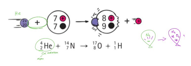 <ul><li><p>Rutherford became the “first successful alchemist”</p></li><li><p>changed Nitrogen into Oxygen by using alpha radiation</p></li></ul><p></p>