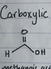 <p>Methanoic acid</p>