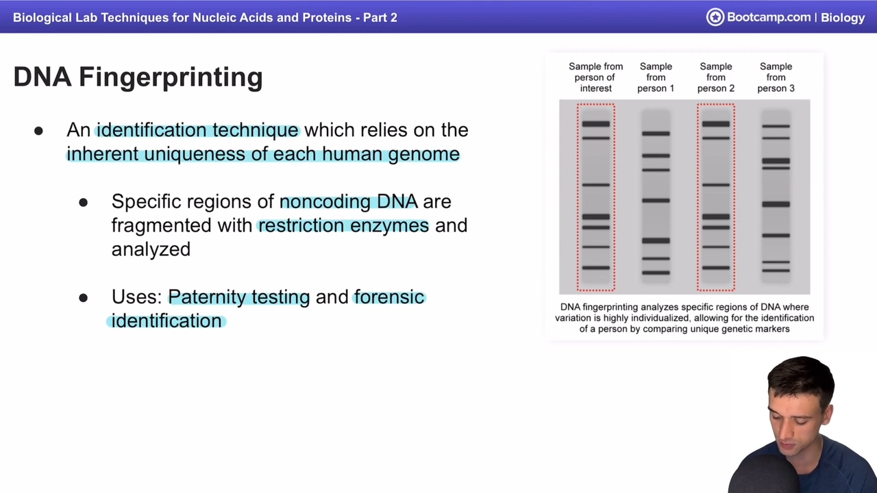 <p>Paterity testing and forensic examination</p>