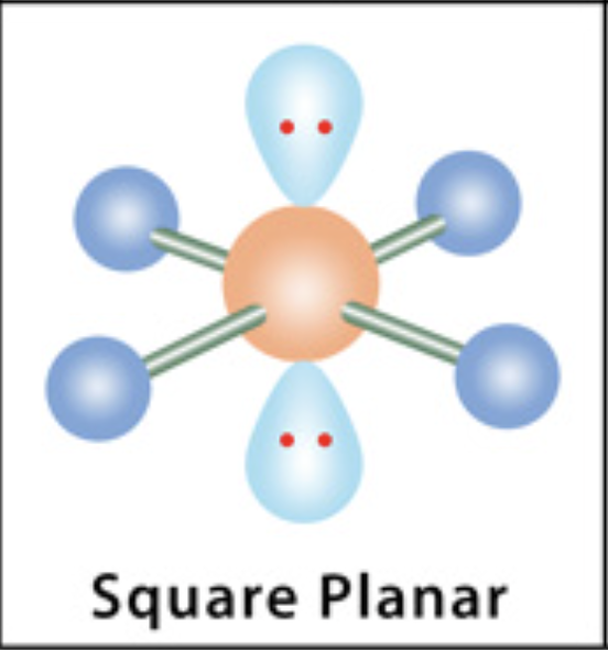 <p>Square Planar</p>