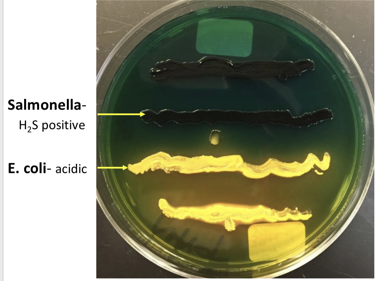 <p>what’s this?</p>