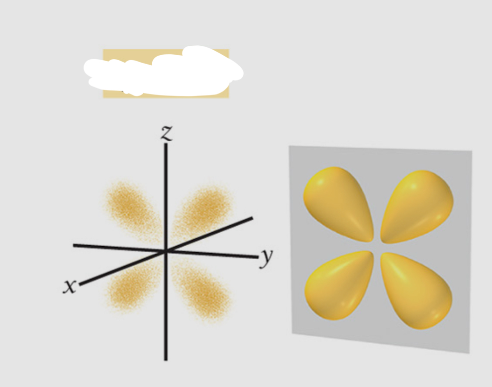 <p>Which orbital is this?</p>