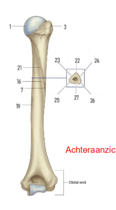 <p>24?</p>