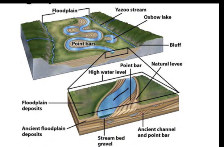 <p>Areas of water and sediment</p><p>storage adjacent to channels, that</p><p>experience frequent flooding.</p><p>• Formed by the river migrating back</p><p>and forth across its valley.</p><p>• Rivers often only occupy a small part</p><p>of their floodplains</p><p>• During floods, the entire floodplain</p><p>may be immersed</p><p></p>