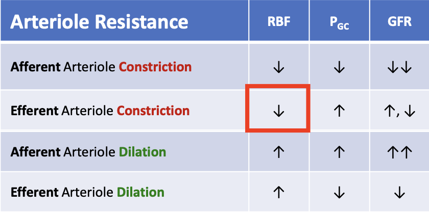 <p>RBF decreases</p>