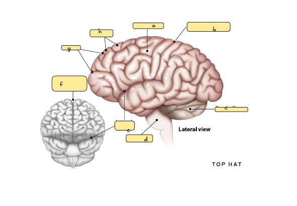 <p>h</p>