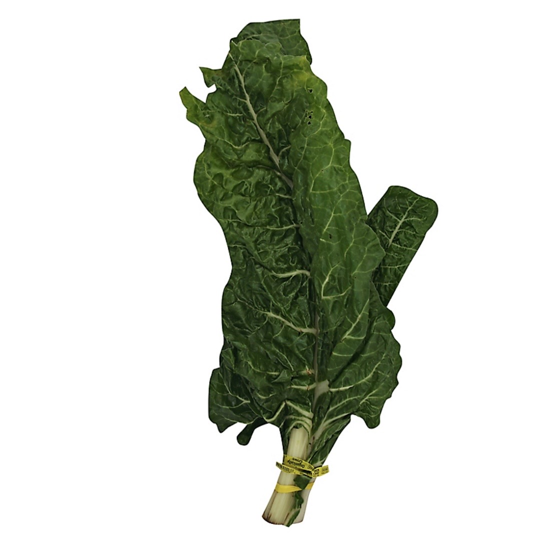 <p>Organic green chard</p>