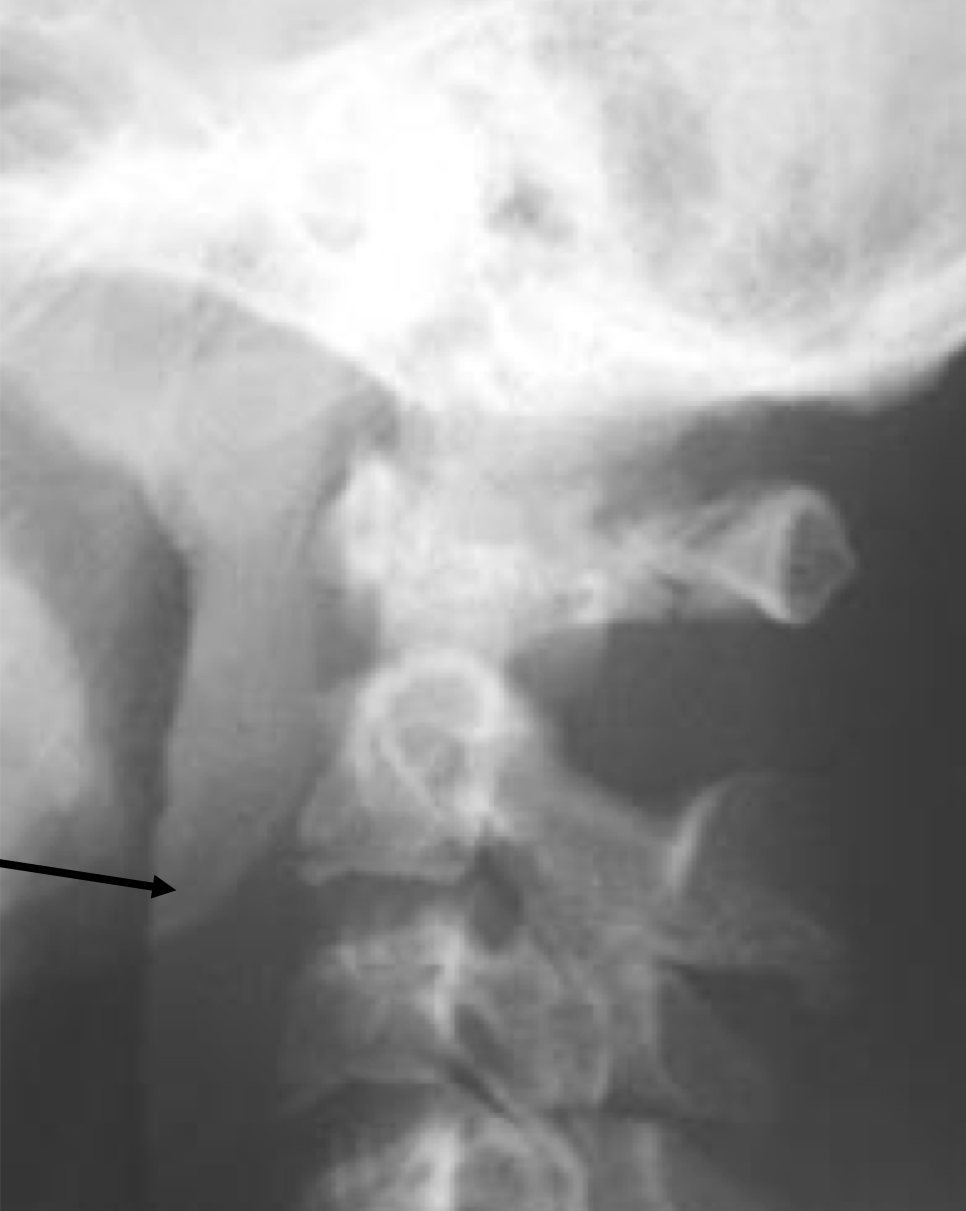 <p>What are the three findings of this film</p>