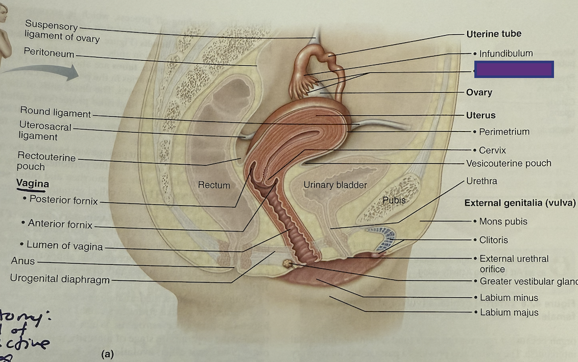 <p>What is this and its function?</p>