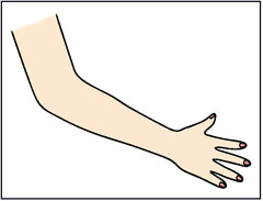 <p>The Left Arm (Preferred)</p>