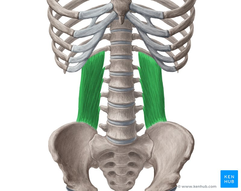 <p>structure</p>
