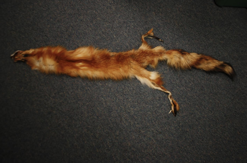 <p>Identify this fur</p>